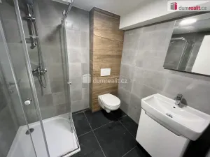 Pronájem bytu 1+1, Kunovice, Potočná, 46 m2