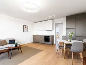 Prodej bytu 4+kk, Praha - Žižkov, Křivá, 100 m2