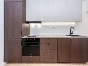 Prodej bytu 3+kk, Praha - Žižkov, Buková, 53 m2