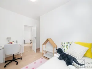 Prodej bytu 3+kk, Praha - Žižkov, Buková, 53 m2
