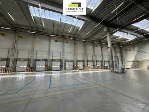 Pronájem skladu, Hladké Životice, Kujavská, 9000 m2