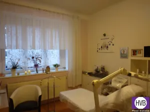 Pronájem komerční nemovitosti, Praha, Andrštova, 25 m2