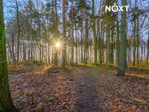 Prodej rodinného domu, Srubec, Vrbová, 163 m2