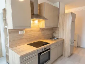 Prodej bytu 3+1, Olomouc - Nová Ulice, Pionýrská, 60 m2