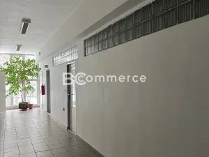Pronájem kanceláře, Brno, 120 m2