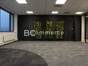 Pronájem kanceláře, Brno, Vídeňská, 380 m2