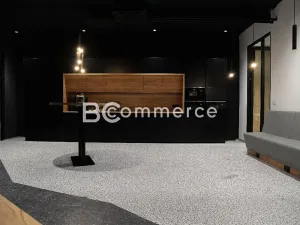 Pronájem kanceláře, Brno, Vídeňská, 555 m2