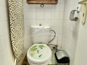 Pronájem bytu 1+1, Havlíčkův Brod - Termesivy, 54 m2