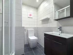 Prodej bytu 1+1, Jirkov, SNP, 39 m2