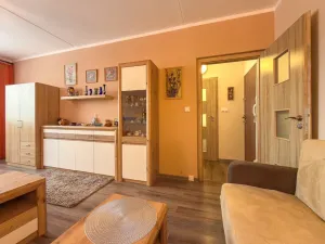 Prodej bytu 1+1, Jirkov, SNP, 39 m2