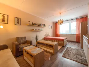 Prodej bytu 1+1, Jirkov, SNP, 39 m2