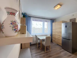 Prodej bytu 1+1, Jirkov, SNP, 39 m2