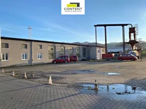 Pronájem výrobních prostor, Žalany, Kostomlatská, 456 m2