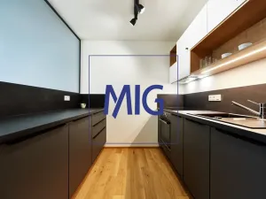 Pronájem bytu 2+kk, Brno, Cejl, 35 m2