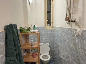 Pronájem bytu 2+1, Praha - Karlín, Peckova, 53 m2