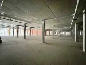 Pronájem obchodního prostoru, Hradec Králové, Kollárova, 3447 m2