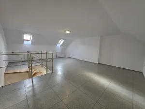 Pronájem bytu 3+1, Frýdlant nad Ostravicí, Kadlčákova, 150 m2