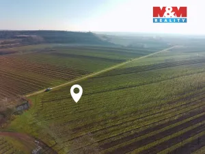 Prodej pole, Velké Bílovice, 7286 m2