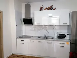 Pronájem bytu 2+kk, Karlovy Vary - Rybáře, Sokolovská, 65 m2