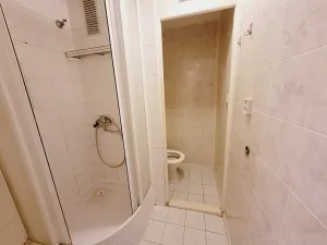 Pronájem bytu 1+kk, Veselí nad Moravou, Chaloupky, 30 m2