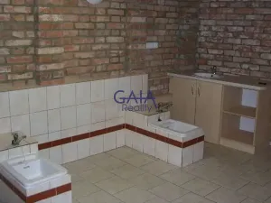 Pronájem obchodního prostoru, Hodonín, Příční, 240 m2