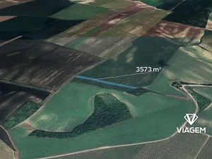 Prodej podílu pole, Velké Pavlovice, 1786 m2