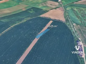 Prodej podílu pole, Syrovice, 1508 m2