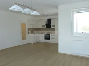 Pronájem bytu 3+kk, Plzeň, U Velkého rybníka, 87 m2