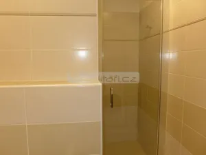 Pronájem bytu 3+kk, Plzeň, U Velkého rybníka, 87 m2