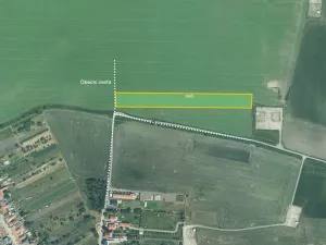Prodej pole, Dolní Dunajovice, 9787 m2