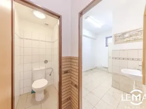 Prodej zemědělské usedlosti, Rosice, 398 m2
