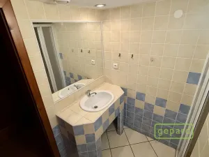 Pronájem bytu 3+kk, Praha - Vinohrady, Bělehradská, 132 m2
