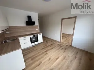 Pronájem bytu 1+1, Duchcov, Osecká, 39 m2
