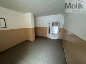 Pronájem bytu 1+1, Duchcov, Osecká, 39 m2