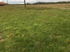 Prodej sadu/vinice, Troskovice, 8502 m2