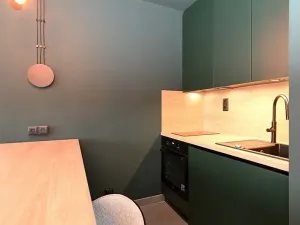 Pronájem bytu 1+kk, Praha - Modřany, Pertoldova, 30 m2