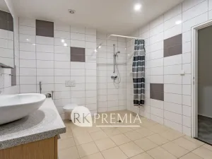 Pronájem bytu 4+1, Teplice, U Hadích lázní, 160 m2