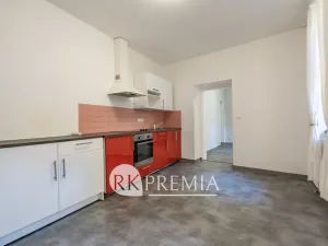 Pronájem bytu 4+1, Teplice, U Hadích lázní, 160 m2