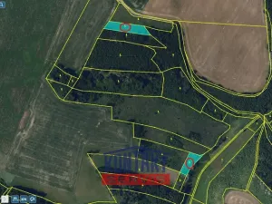 Prodej lesa, Okrouhlice - Vadín, 13839 m2