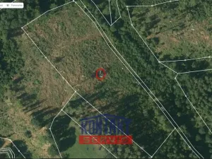 Prodej lesa, Okrouhlice - Vadín, 13839 m2