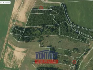 Prodej lesa, Okrouhlice - Vadín, 13839 m2