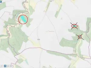 Prodej lesa, Okrouhlice - Vadín, 11240 m2