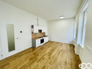 Pronájem bytu 1+kk, Praha - Smíchov, Svornosti, 31 m2