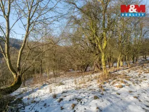 Prodej zahrady, Ryjice, 1648 m2