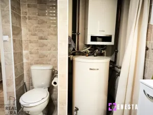 Prodej rodinného domu, Velké Přílepy, Smetanova, 195 m2