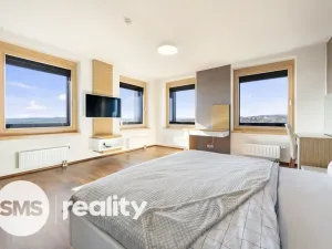 Pronájem atypického bytu, Brno - Štýřice, Pražákova, 332 m2