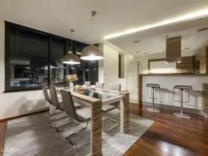 Pronájem atypického bytu, Brno - Štýřice, Pražákova, 332 m2