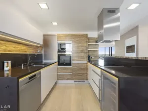 Pronájem atypického bytu, Brno - Štýřice, Pražákova, 332 m2