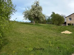 Prodej pozemku pro bydlení, Pulečný - Klíčnov, 898 m2