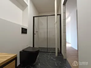 Prodej bytu 3+kk, Sokolov, Hornická, 53 m2